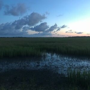 Meet your Posher, Chanel